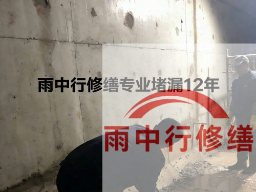 岳阳化工池防腐防水修缮